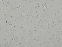 Mipolam Planet 5439 Moon Way