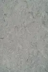 ICE GREY - COLOUR SCAN